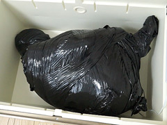 Mummification(マミフィケーション） ver.023